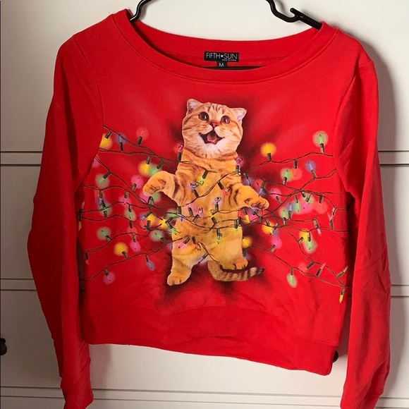 light up cat sweater